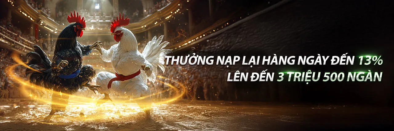 Đá gà trực tiếp kịch tính tại DG789